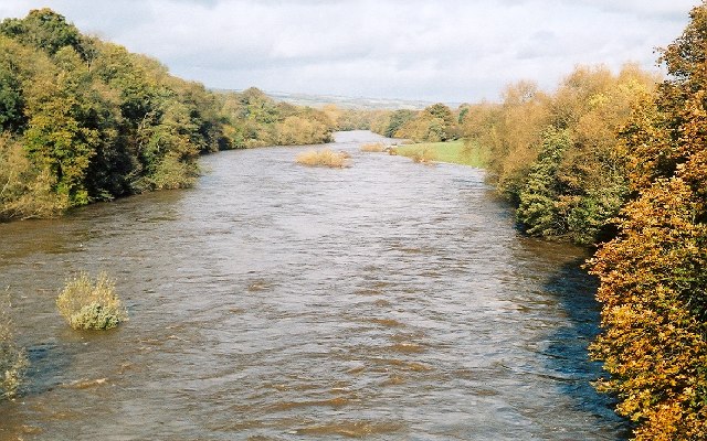 ‘Very worrying’: New data shows 14% of England’s waterways in ‘good’ health